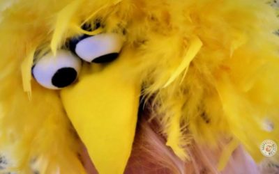 Einzigartiges “Bibo” Kostüm – DIY für Karneval und Fasching